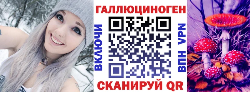 Псилоцибиновые грибы Psilocybe  где купить наркотик  Фёдоровский 